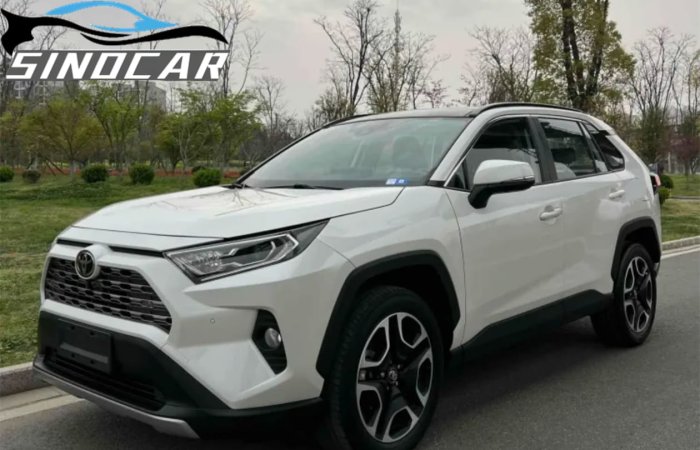 丰田RAV4荣放 2019 2.0L CVT两驱尊贵版 (10)