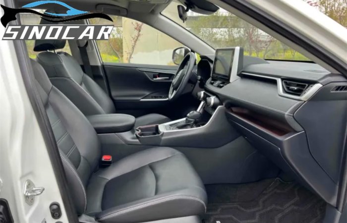丰田RAV4荣放 2019 2.0L CVT两驱尊贵版 (1)