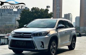 汉兰达2020 2018款 2.0T 四驱尊贵版 7座 国六 白色外观 (6)