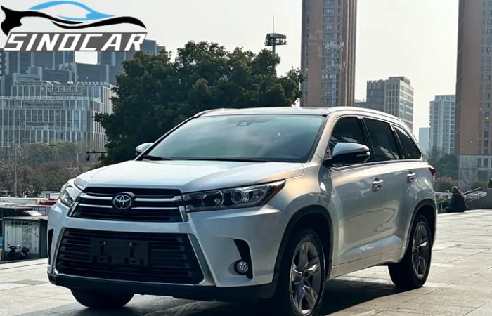 汉兰达2020 2018款 2.0T 四驱尊贵版 7座 国六 白色外观 (6)