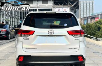 汉兰达2020 2018款 2.0T 四驱尊贵版 7座 国六 白色外观 (1)