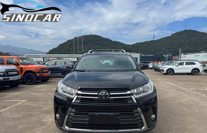 汉兰达2020 2018款 2.0T 四驱尊贵版 7座 国六 黑色外观 (5)