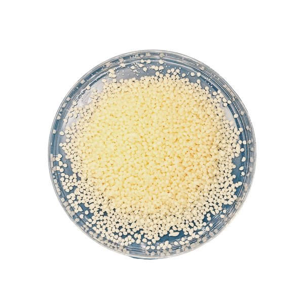 Saponified FT Wax BN-859 equal to Sasol A859