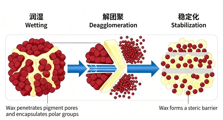 Understanding the Mechanism of Dispersants for Color Masterbatches