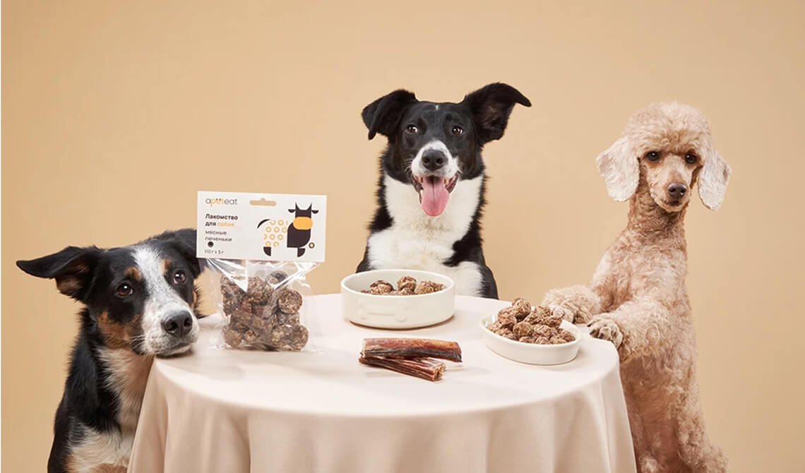 The Evolution of Portfolio Designin 2021