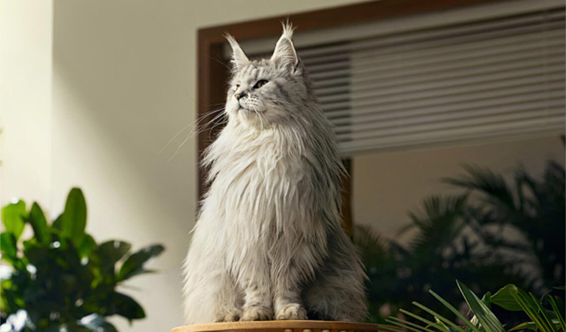 The Evolution of Portfolio Designin 2022