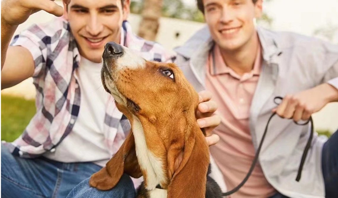 The Evolution of Portfolio Designin 2023