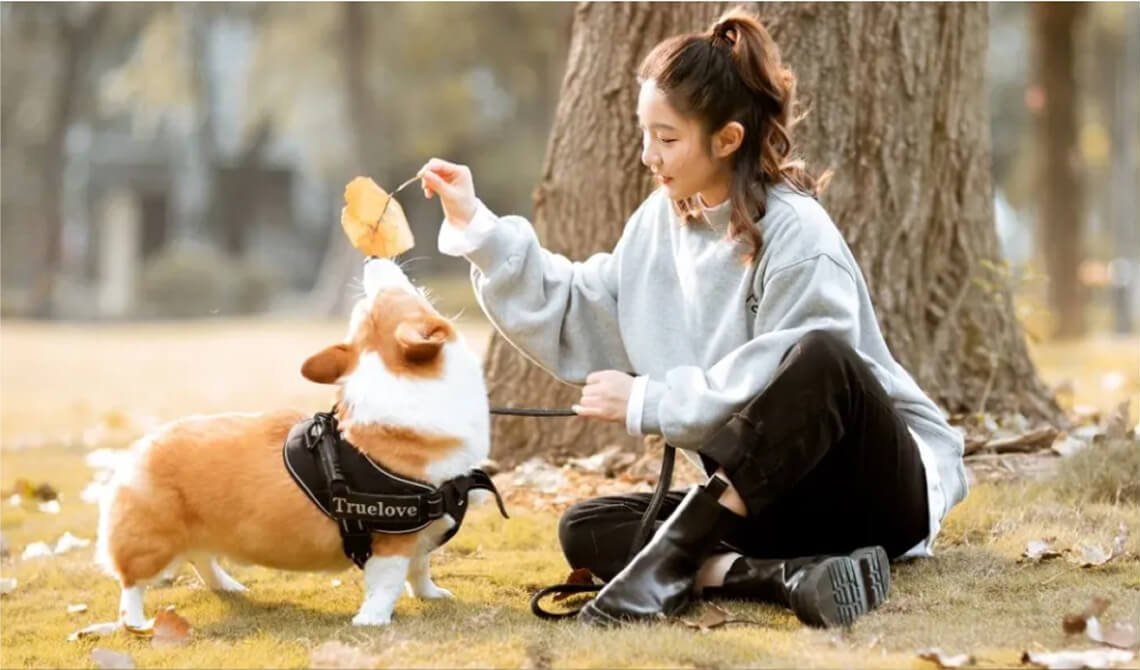 The Evolution of Portfolio Designin 2024