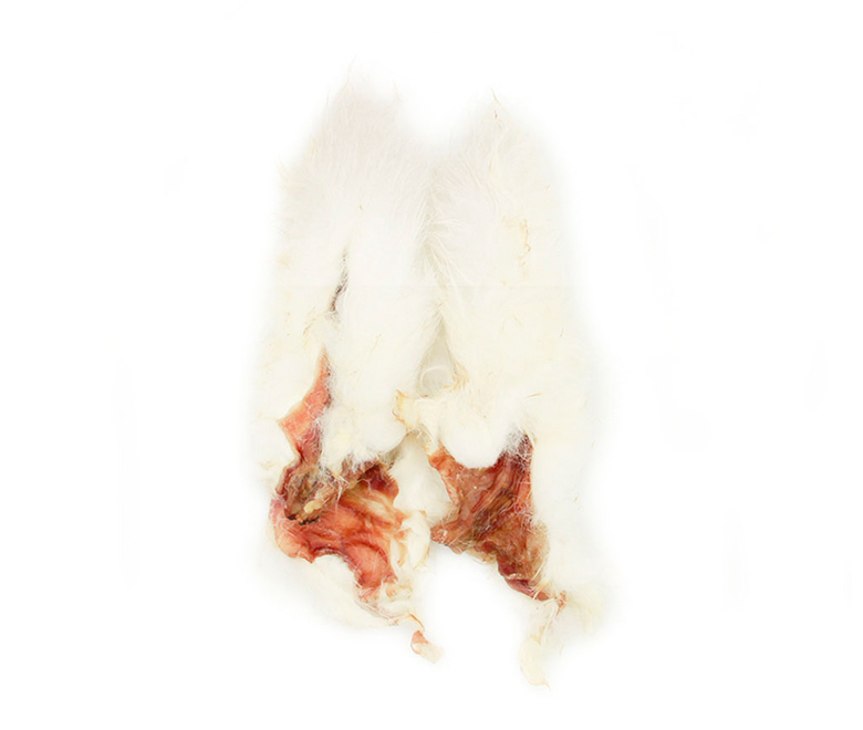 _0001__MG_43872--主图