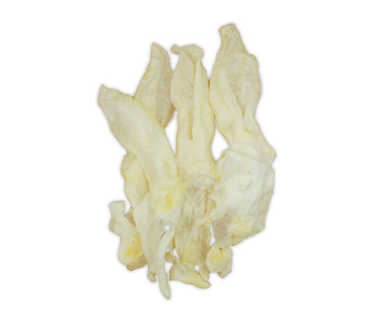 White  Rabbit Ear with Leather