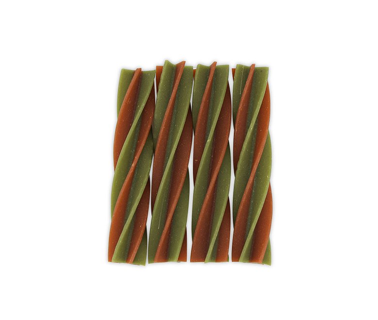 Dental  color  circle