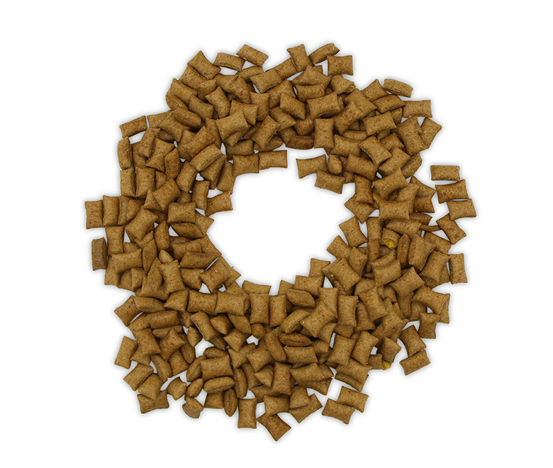 _0000_crunchy pillow duck+pumpkin (2)