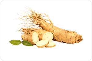 Ginseng