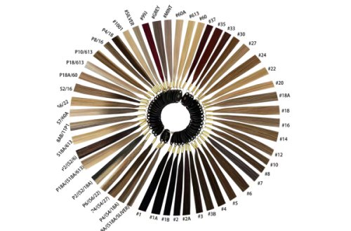color chart_2