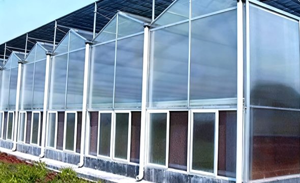 Customized large-span steel structure greenhouse
