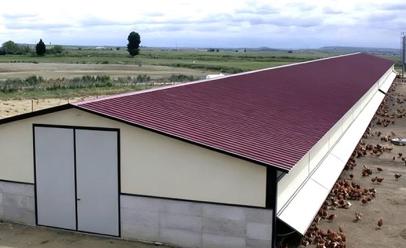 Prefabricated steel structure farm