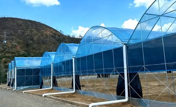 Professional & Durable Greenhouse