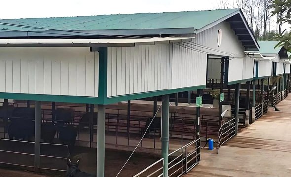 Durable Steel-Structured Livestock Shed