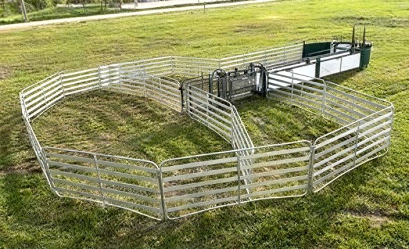 Multi-Functional Steel-Structured Livestock Fence