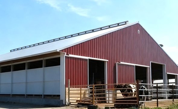 China-Made Steel-Structured Livestock Shed
