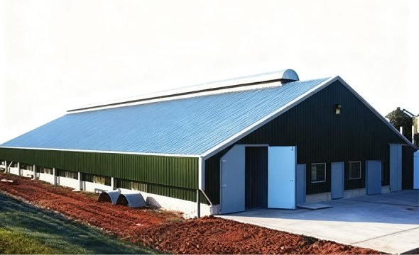 Prefabricated steel structure livestock shed