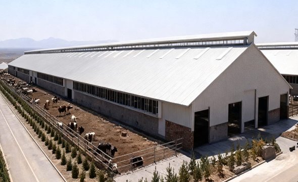 Low-Cost Steel-Structured Farm Shed
