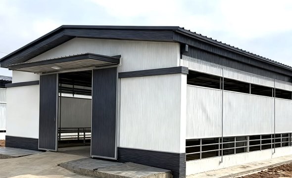 Best-Selling Steel-Structured Farm