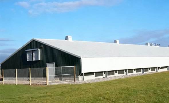 Prefabricated steel structure farm building