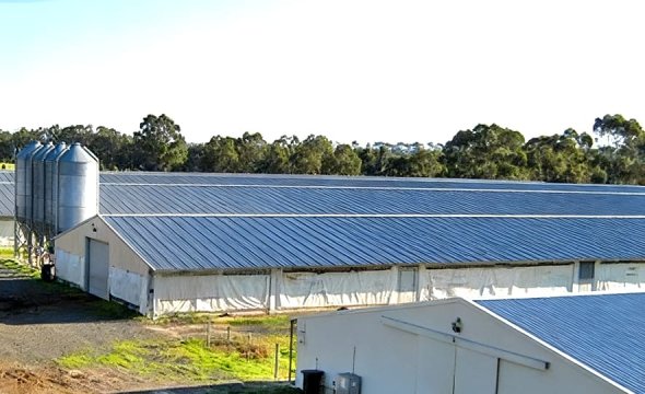 Premium Steel-Frame Farmhouse