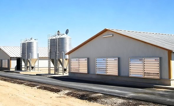 Customized Steel Structure Farm