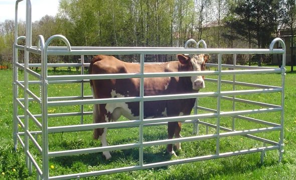 Easy-to-Assemble Farm Fence