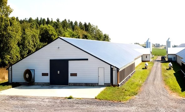 Best-Selling Low-Cost Civil Warehouse