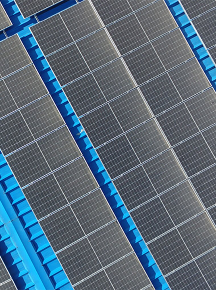 ORGANIC CERTIFICATION