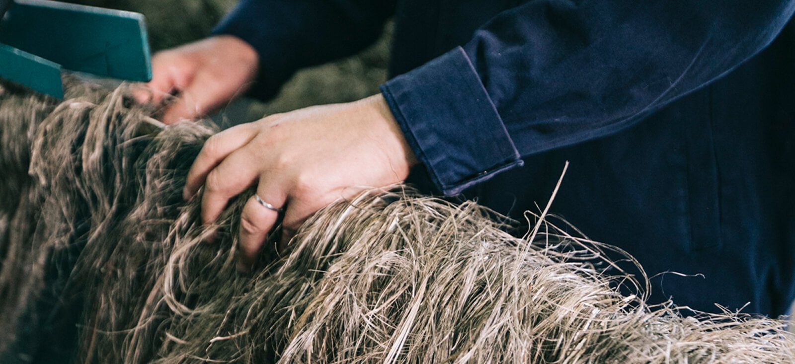 Hemp Decortication Process