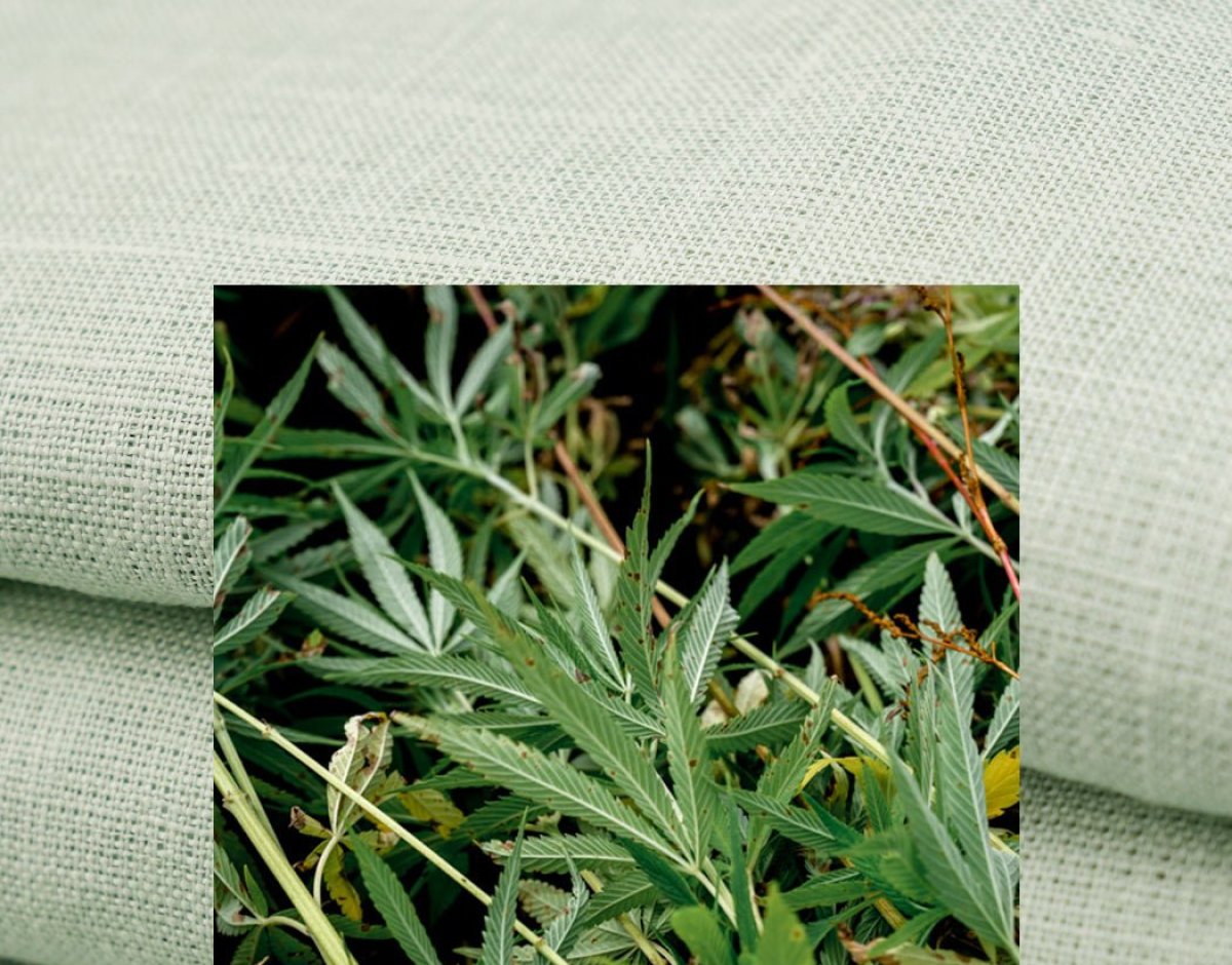 THE FUTURE OF FASHION: LUXURY AND SUSTAINABLE HEMP FABRICS