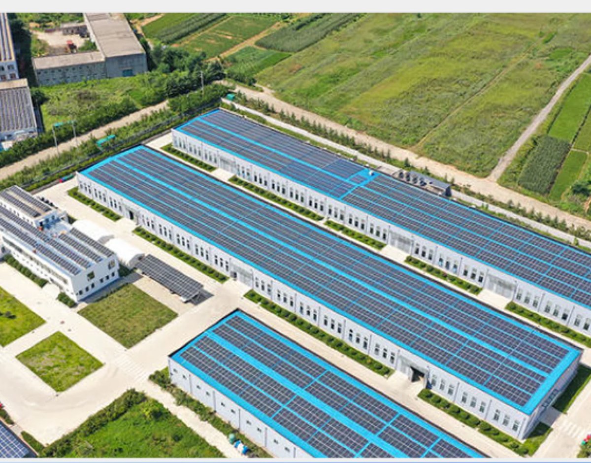 HARNESSING THE POWER OF THE SUN: A SUSTAINABLE REVOLUTION IN ENERGY