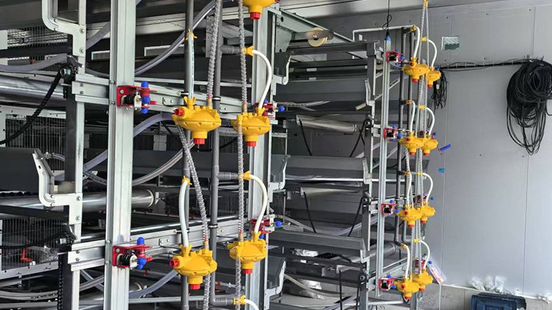 20unit 4tier 8column brooding project in Japan