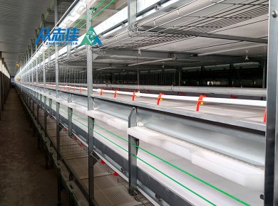 _0017_Broiler cage 3