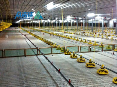 _0010_broiler floor sysytem 4