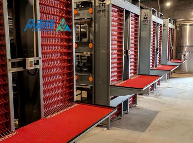 _0026_Egg collection sysytem 2