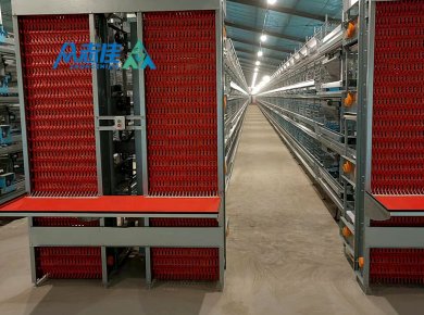 _0025_Egg collection sysytem 1