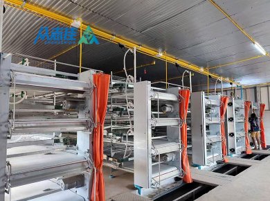 _0047_Manure removal sysytem 2