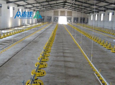 _0007_broiler floor sysytem 1