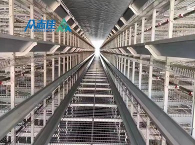 _0018_Broiler cage 4