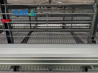 _0019_Broiler cage 5