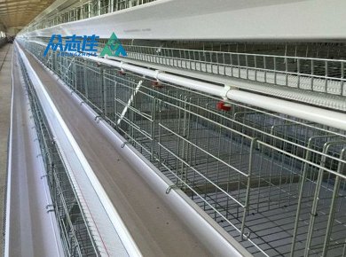 _0001_A frame cage sysytem 2