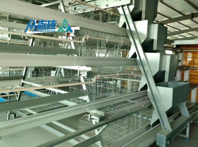 _0000_A frame cage sysytem 1