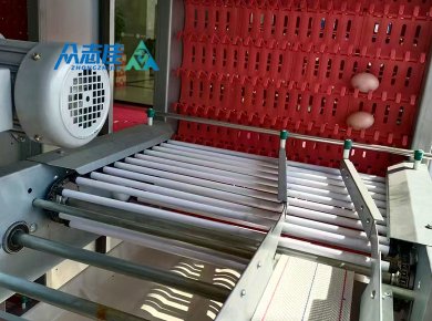 _0028_Egg collection sysytem 4