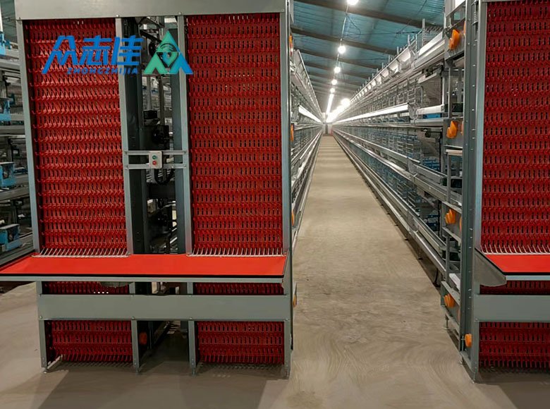 Egg Collection System