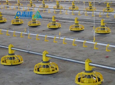 _0009_broiler floor sysytem 3